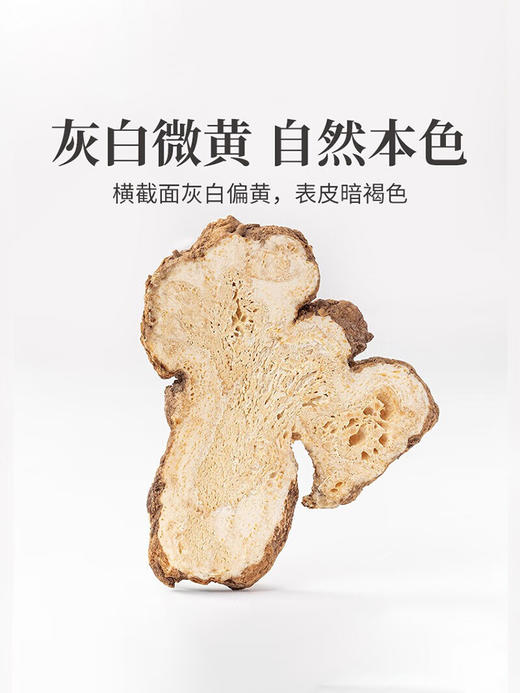 浙江白术中药材正品旗舰店野生无硫片炒生500g批发粉的功效与作用 商品图2