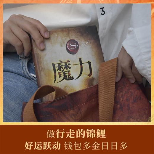 "吸引力法则"魔力鸿运袋套装(全2册) 商品图2