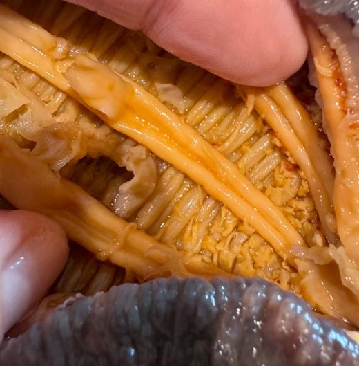 加拿大野生北极参 鲜活海参真淡干 真正的加拿大野生海捕 无任何添加剂和激素 I百里食 商品图2