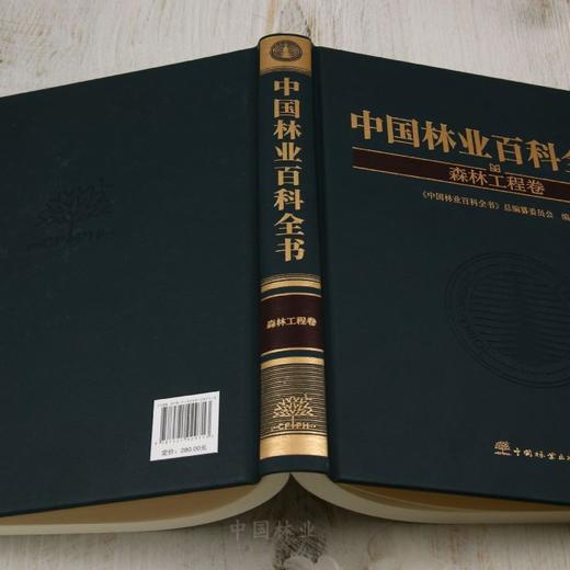 中国林业百科全书：森林工程卷 &2971 商品图3