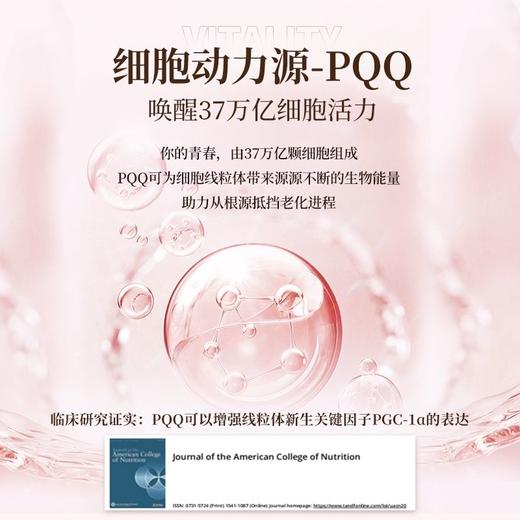 香港宝芝林高纯度PQQ童颜丸麦角硫因线粒体细胞营养素御龄驻颜 商品图2