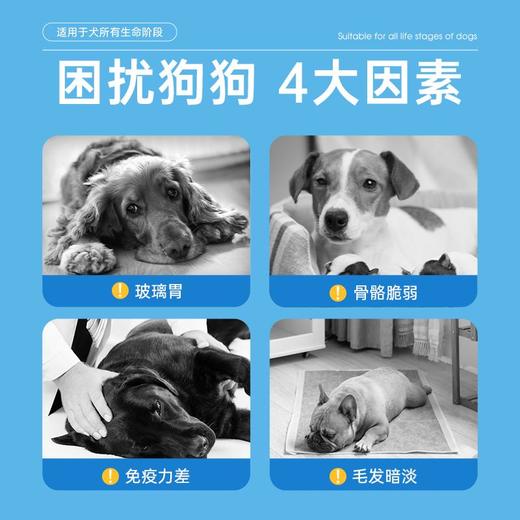凡可奇 牛肉益生元狗粮10kg 成犬幼犬小型犬通用型中大型犬泰迪金毛萨摩耶正品 商品图1