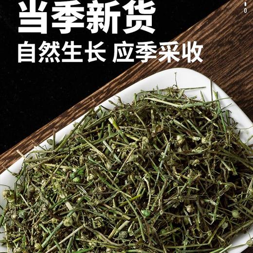 白花蛇舌草中药材新鲜草药野生百花茶的功效与作用铁树叶和半枝莲 商品图1