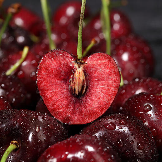 “蛇”来运转【XMGGSGK3.0】 商品图1