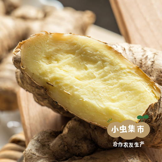 湖南生态小黄姜（目前偏老） 2斤/3斤 | 合作农友生产，来自湖南邵阳，生产者：廖敦祥 *【公平贸易农人定价】 商品图3