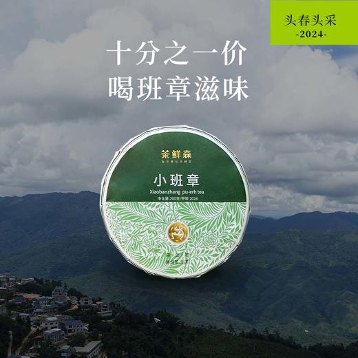 2024小班章 章家三队    普洱茶 生茶 200g/饼，拍5发6 商品图0