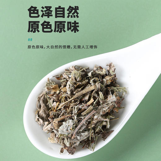 翻白草绞股蓝中药材野生新鲜官方正品旗舰店茶包的功效翻百草苦丁 商品图3