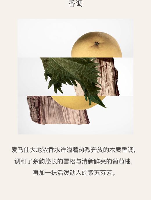 【航免仓】Hermes爱马仕大地浓香水50ml 商品图1