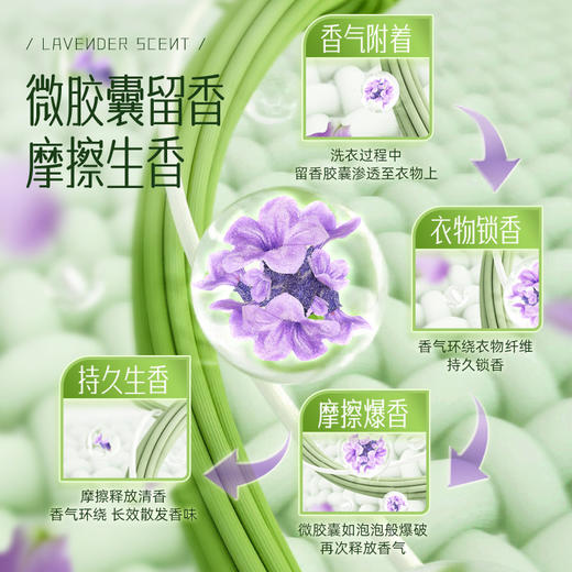 「薰衣草香」蓝漂洗衣液500g 居家日用手洗机洗通用薰衣草芳香型袋装补充装500g清洁工具 商品图2