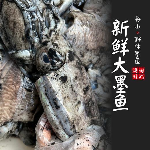 【闹妈海鲜】舟山热气大墨鱼，今日热气到货，肉质鲜嫩Q弹，各种规格任选 商品图0