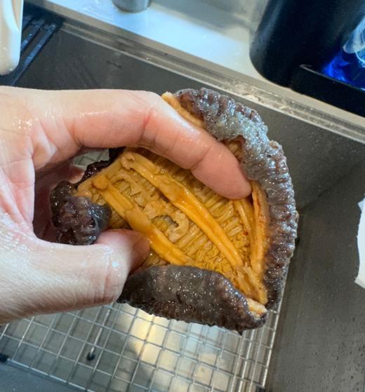 加拿大野生北极参 鲜活海参真淡干 真正的加拿大野生海捕 无任何添加剂和激素 I百里食 商品图3