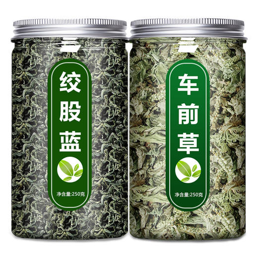 绞股蓝车前草野生干货官方旗舰店中药材新鲜和泡水喝的功效与作用 商品图4
