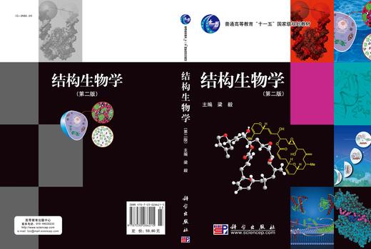 结构生物学（第二版）/梁毅 商品图3