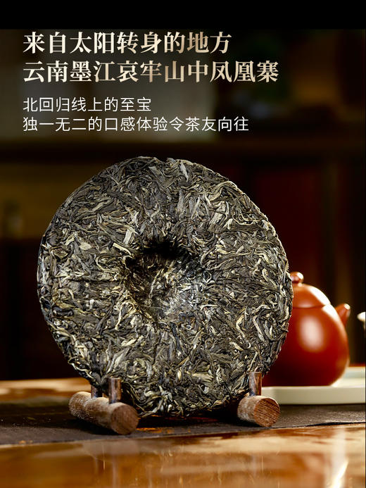 【凤凰寨】古寨春年年的断货王，只采墨江凤凰窝‘窝里’周边古茶片区，喝一口一辈子都不会忘掉的“马汉清香” （凤凰寨357g/饼 5饼/提 拍5发6）（凤凰寨单株100g*5饼/箱） 商品图6