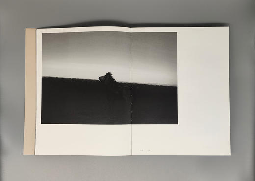 《胡马依北风》王争平摄影集 商品图5