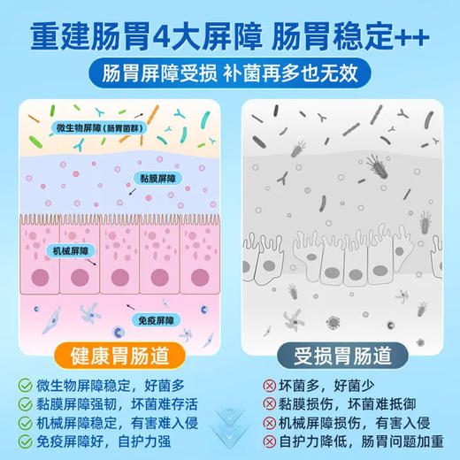 舒伯特益生菌养胃粉进口成人胃部活性大人调理肠胃道呵护孕妇孕期 商品图1