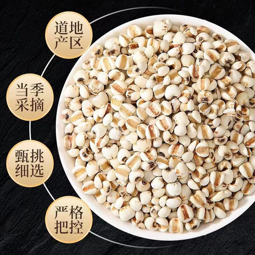 薏仁茯苓砂仁陈皮茶中药材正品官方旗舰店干货500g特级批发饮泡水 商品图1