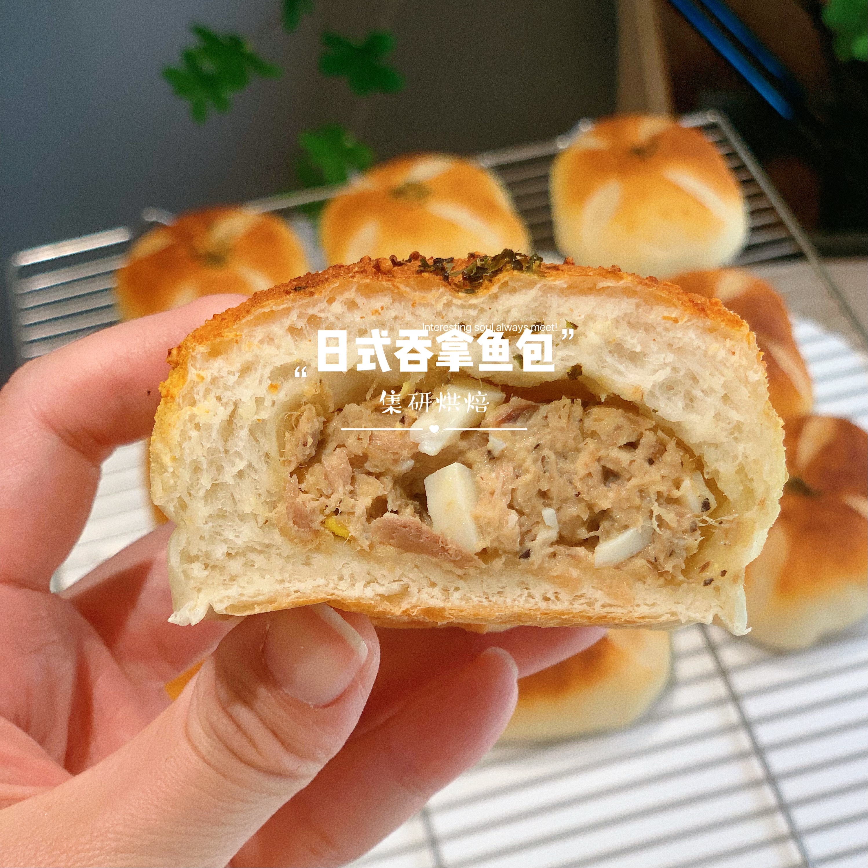 日式吞拿鱼包（净重约110g/个）