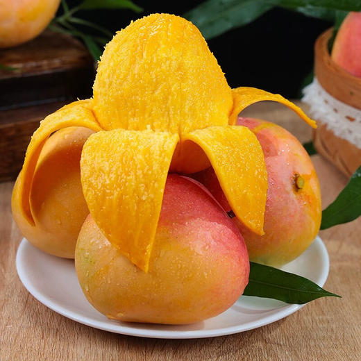 金“蛇”衔财【XMGGSGK3.0】 商品图5