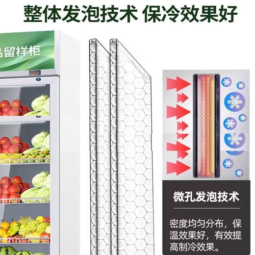 【JL】国产食品留样柜一台 110W 110L 52*52*120CM 商品图1