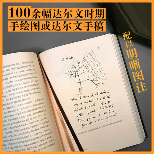 物种起源（国内唯一“达尔文《物种起源》第二版”中译本） 商品图1