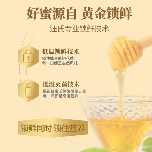 【汪氏】益母草蜜465g 商品图3
