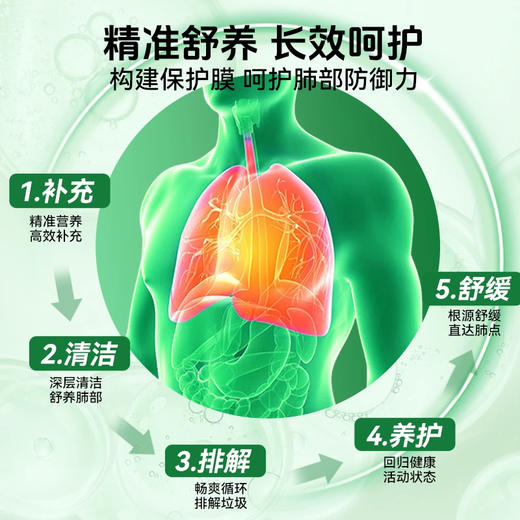 Bioburghof碧欧宝 槲皮素胶囊肺立清清肺护肺结节肺动力 德国进口 商品图2