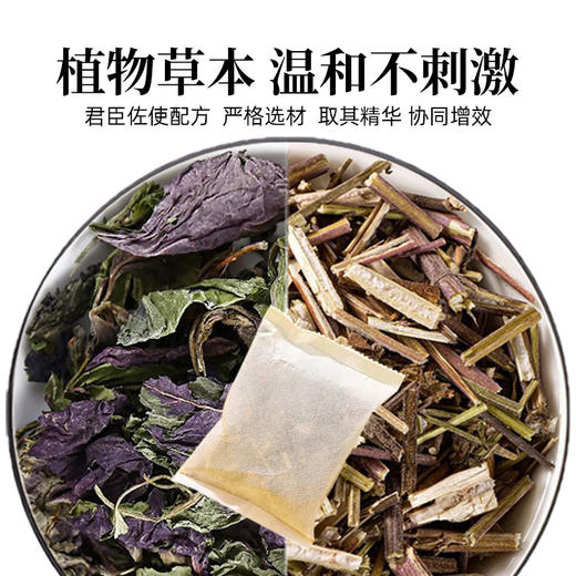 紫苏叶荆芥泡脚儿童中药材新鲜食用野生干货泡澡包粉泡水喝的功效 商品图1