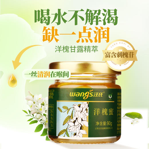 【汪氏】洋槐蜜90g 商品图1