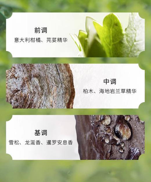 【航免仓】宝格丽城市森林100ml 商品图2