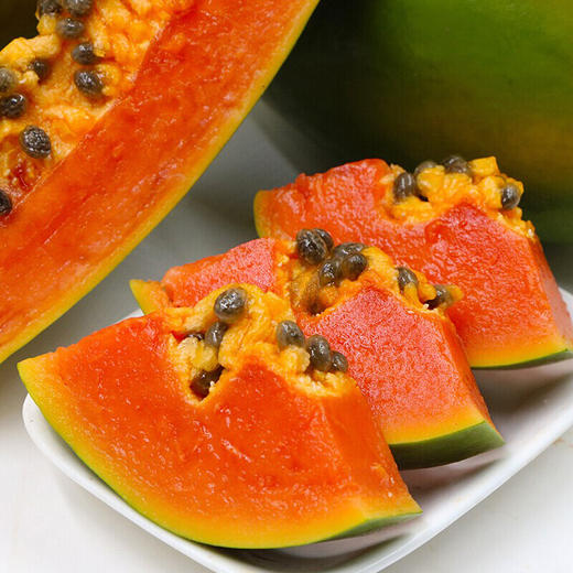 金“蛇”衔财【XMGGSGK2.0】 商品图4