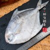 【闹妈】[鲜冻]舟山大银鲳鱼 各种规格 按条卖 商品缩略图2