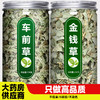车前草金钱草中药材新鲜野生正宗干货官方旗舰店袋泡茶水喝中草药 商品缩略图0