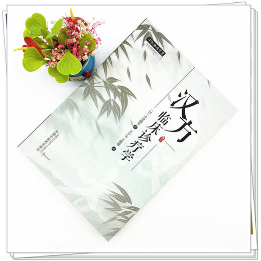 汉方临床诊疗学 中医师承学堂 (日) 寺泽捷年著 王宁元 王晴湄译 临床书籍 包括传统的中医治疗手段 如针灸按摩等中国中医药出版社 商品图2