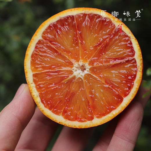 生态血橙（基地直发-顺丰包邮）｜5斤/9斤装，来自四川彭山，生产者：苏永红【合作生产，公平贸易】 商品图9