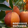 生态血橙（基地直发-顺丰包邮）｜5斤/9斤装，来自四川彭山，生产者：苏永红【合作生产，公平贸易】 商品缩略图2