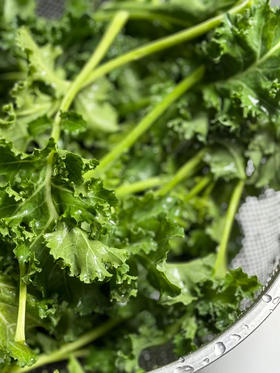 羽衣甘蓝嫩叶｜中国农科院农场直发