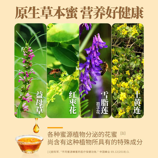 【汪氏】益母草蜜465g 商品图2