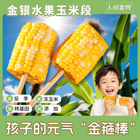 云南新鲜玉米制作/金银水果玉米段甜脆爽口代餐粗粮老人儿童健身营养早餐（1000g/袋）