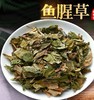 鱼腥草新鲜野生根干货折耳根叶子泡水喝粉泡茶商用鱼星草嫩叶草药 商品缩略图1