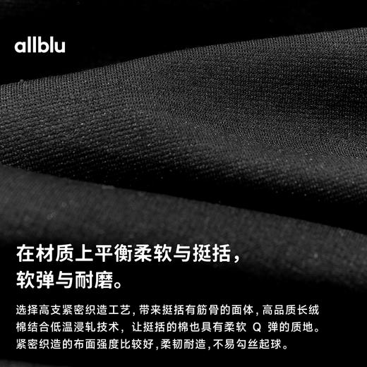 【春Vol.3】allblu"像PS一样显瘦"25春夏｜男士PS T恤｜西装裁剪｜高支棉短袖TZY 商品图2