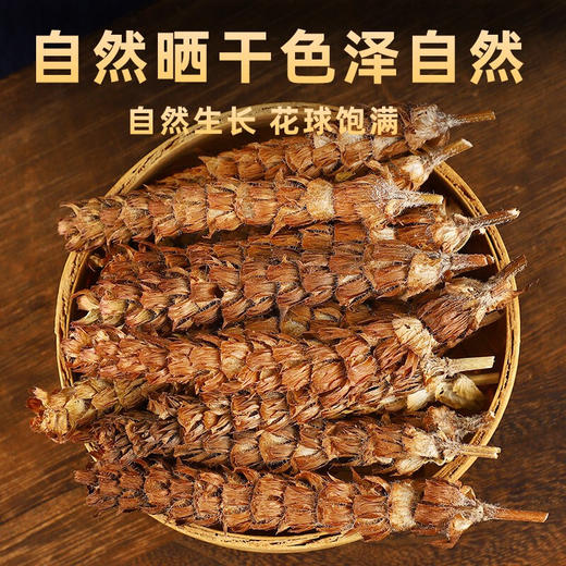 车前草蒲公英夏枯草茶野生干货官方旗舰店新鲜中药材和正品泡水喝 商品图3