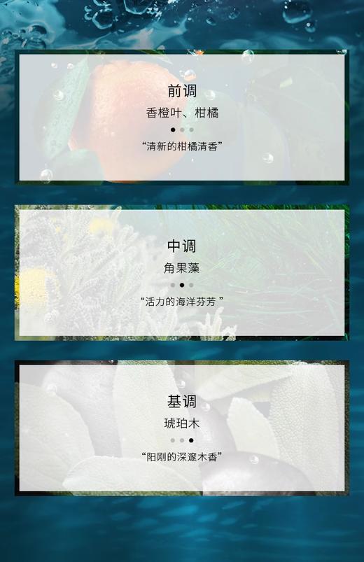 【航免仓】BVLGARI宝格丽水能量碧蓝香水100ml 商品图3