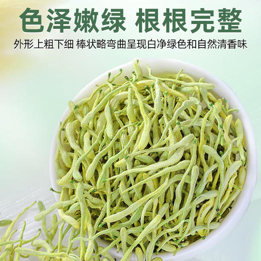 黄芪金银花蒲公英苍术中药材正品官方旗舰店野生特级各10克泡水喝 商品图2