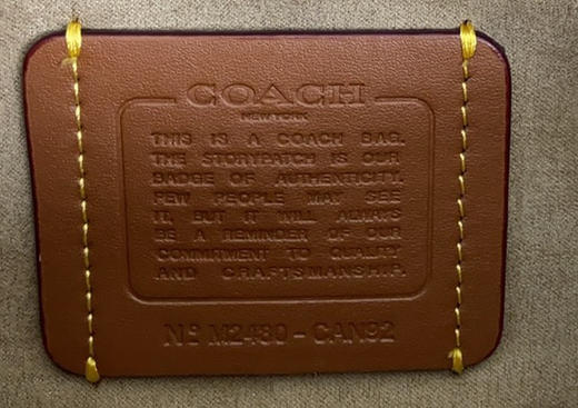 春季特惠💰470 蔻驰Coach新款CAN90 CAN91 CAN92 Brook Chain bag轻巧又耐看的法棍包 商品图8