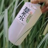 好望水 0糖薏米水植物饮料 500ml/瓶 商品缩略图2