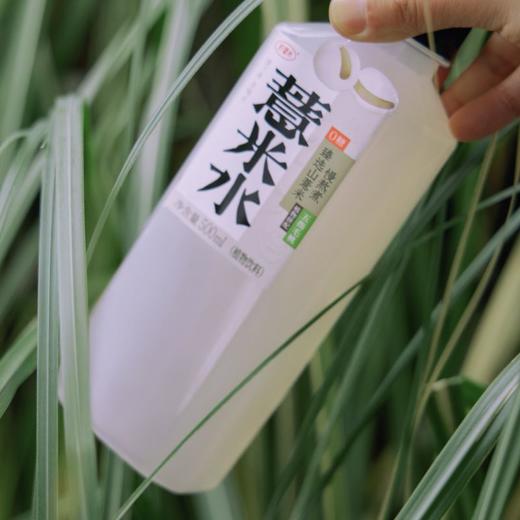 好望水 0糖薏米水植物饮料 500ml/瓶 商品图2