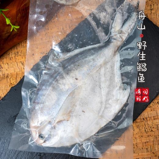 【闹妈】[鲜冻]舟山大银鲳鱼 各种规格 按条卖 商品图1