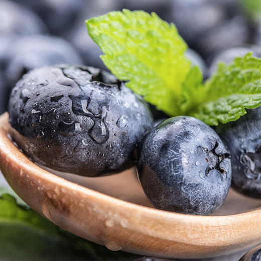 “蛇”来运转【XMGGSGK3.0】 商品图2