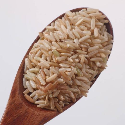 粳米特级正宗粳米中药材店铺大全煮粥梗米非糙米药用硬米新米500g 商品图3